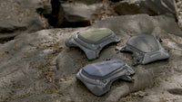 Thumbnail for Turtle x Discovery Edition